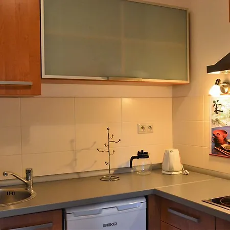 Piknik Apartament Tatrzańska Łomnica